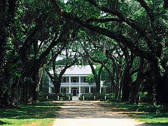 Southern Comfort, Rosedown, St. Francisville, Louisiana
